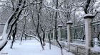 Снег в городе 04.01.2011